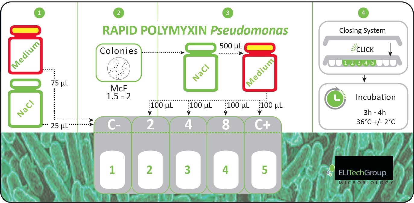 Pseudomonas 1