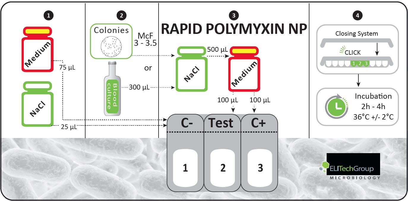 Rapid Polymyxin NP 1