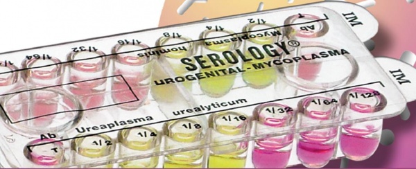 serology 1